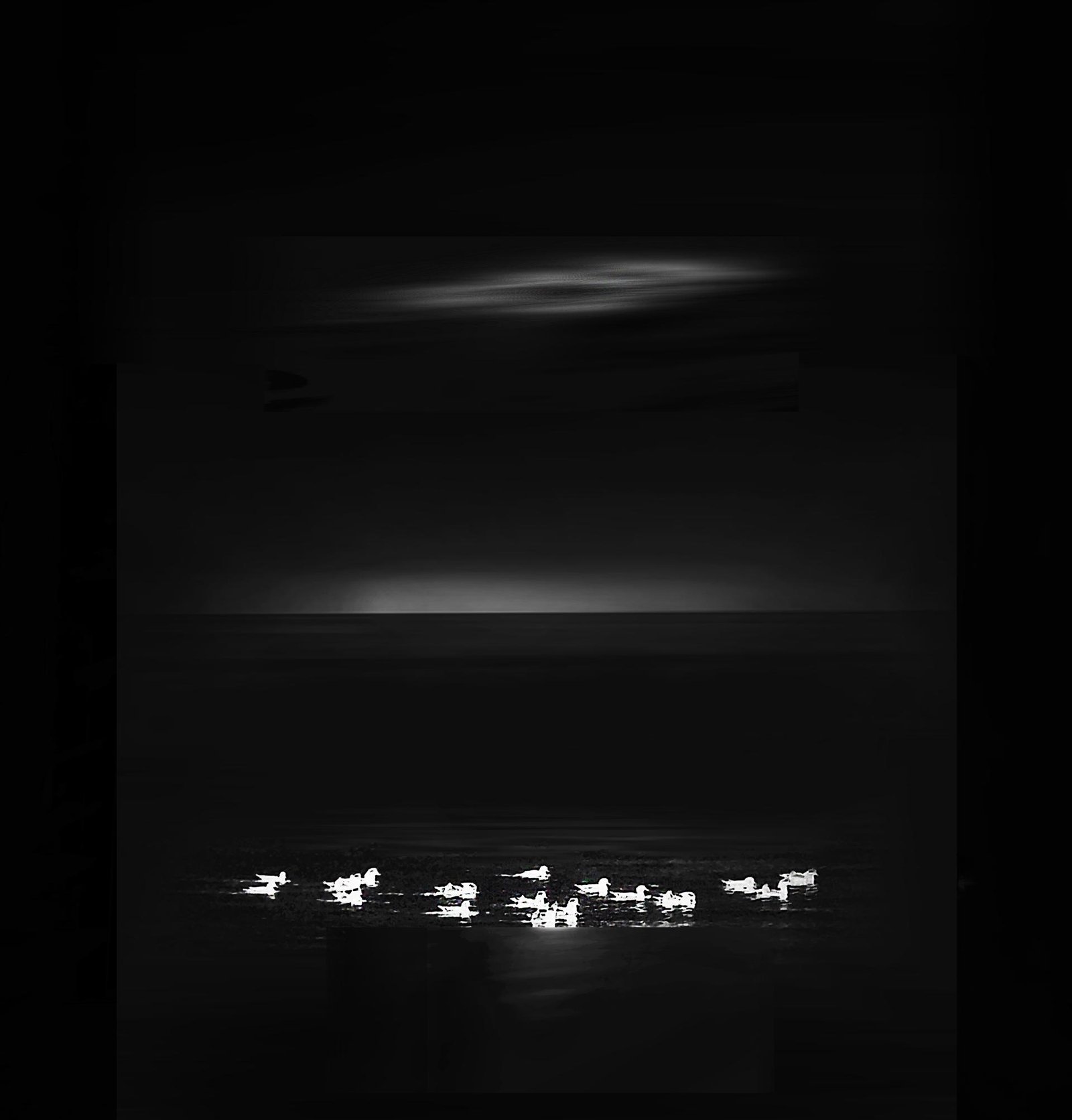 European Photography Awards Winner - Under the moonlight