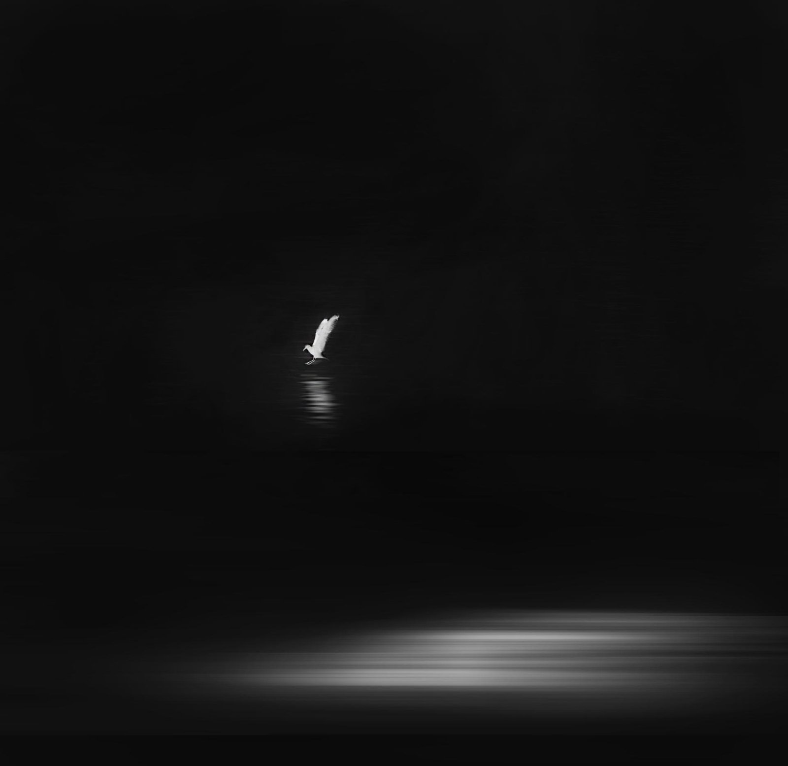 European Photography Awards Winner - Under the moonlight