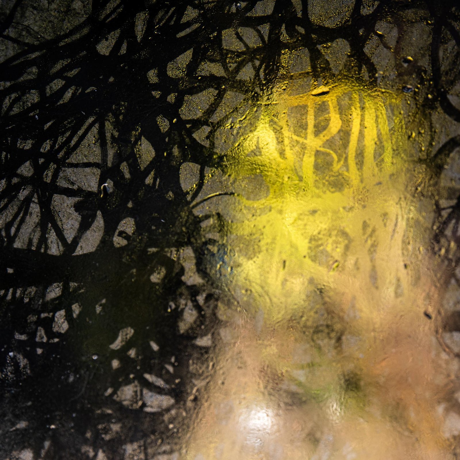 European Photography Awards Winner - Water as a Scriptor: Citrinitas