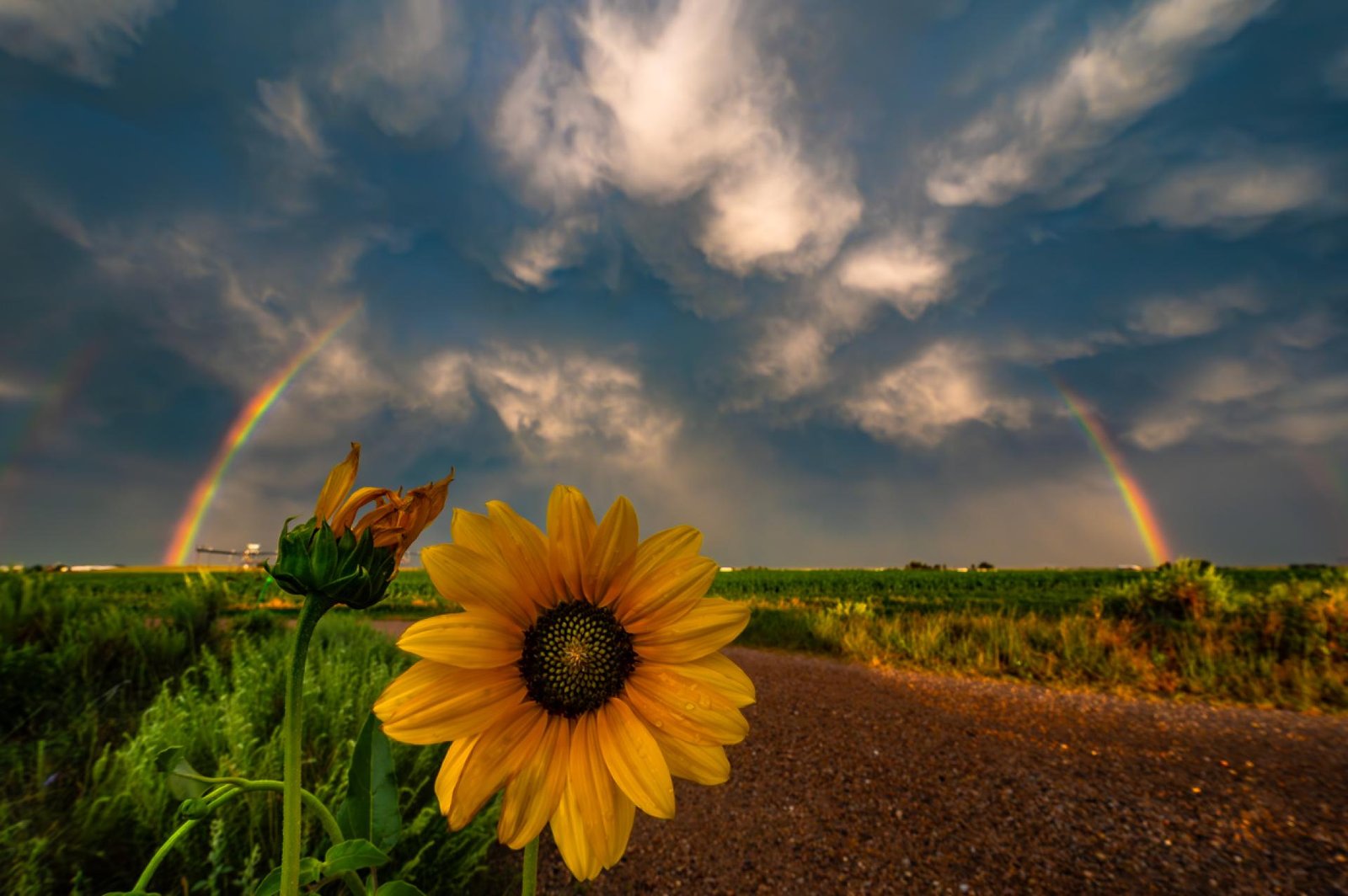European Photography Awards Winner - The Solitude of Storms