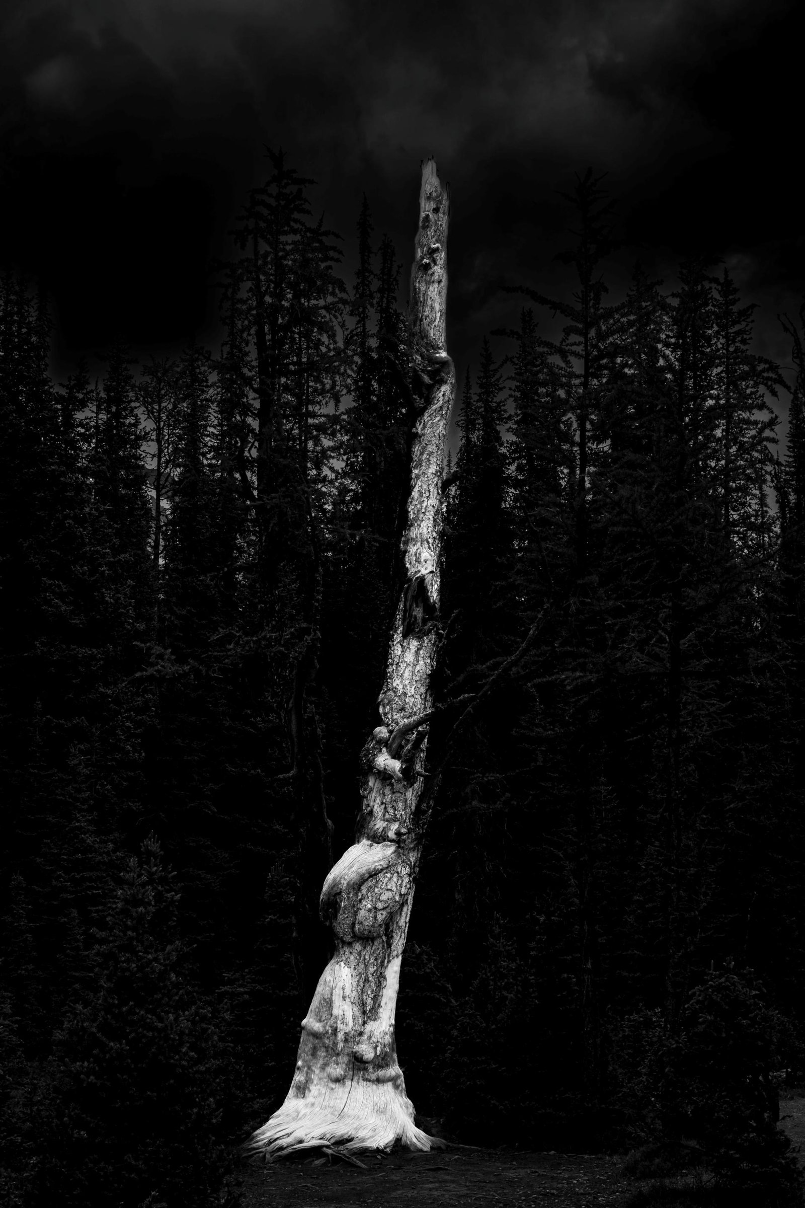 European Photography Awards Winner - Ancient One