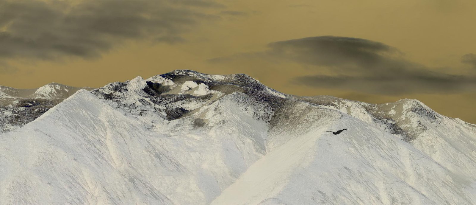 European Photography Awards Winner - The Overlord