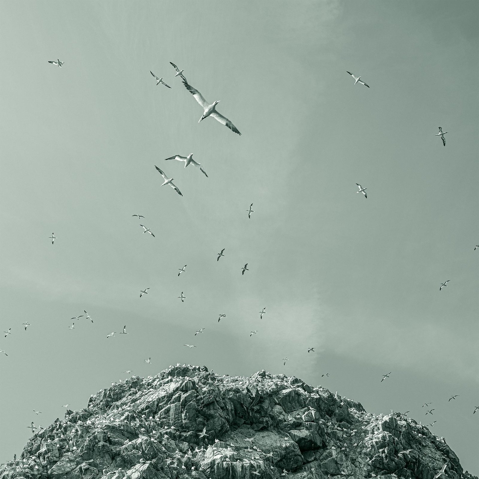 European Photography Awards Winner - The Fossil Era: A Carbon Interlude