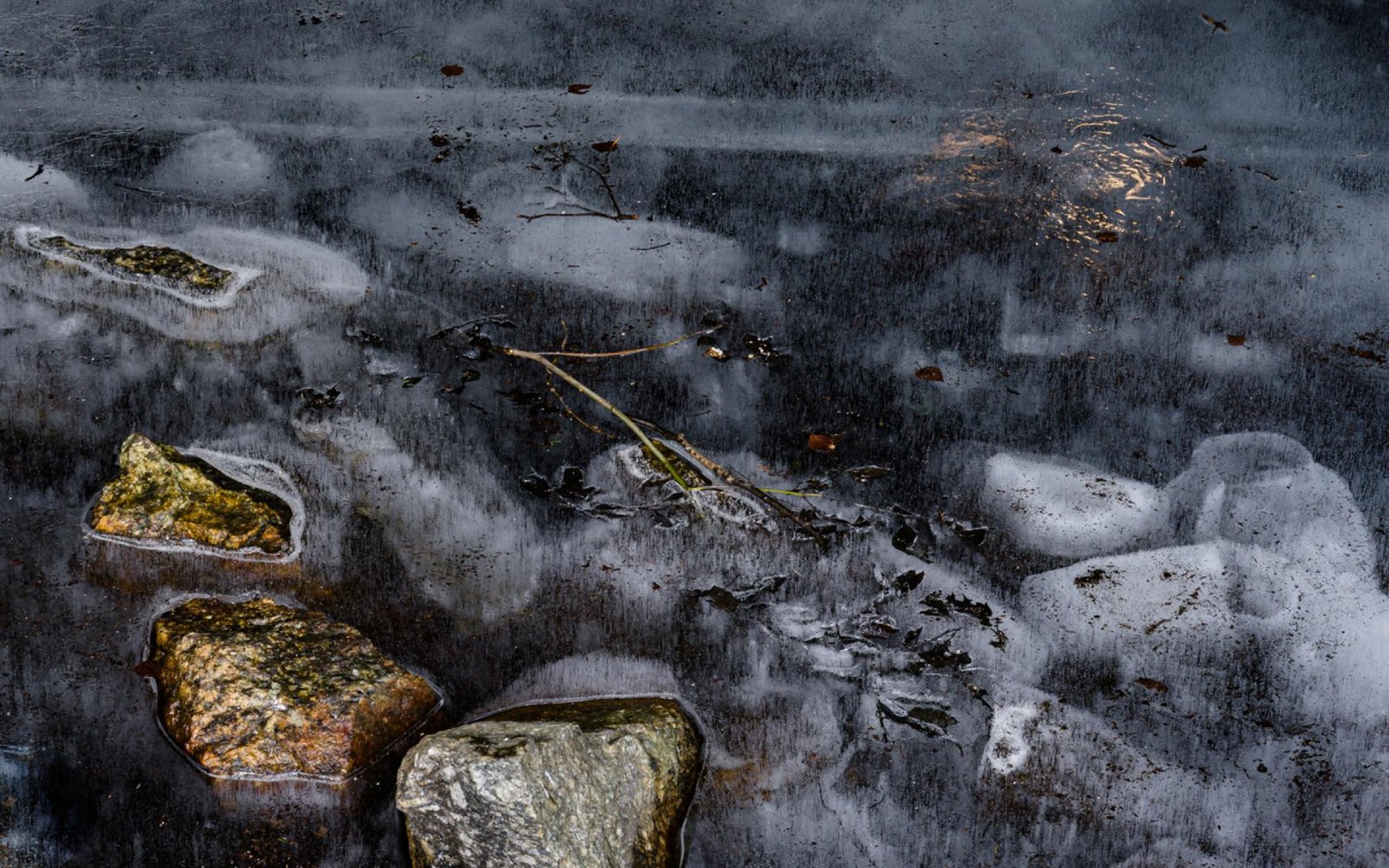 European Photography Awards Winner - Where the Light Stops