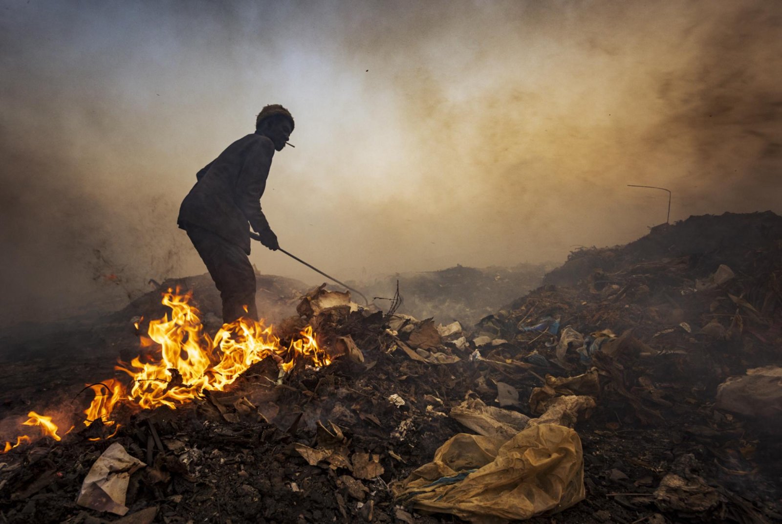 European Photography Awards Winner - The Phoenix of Oblivion