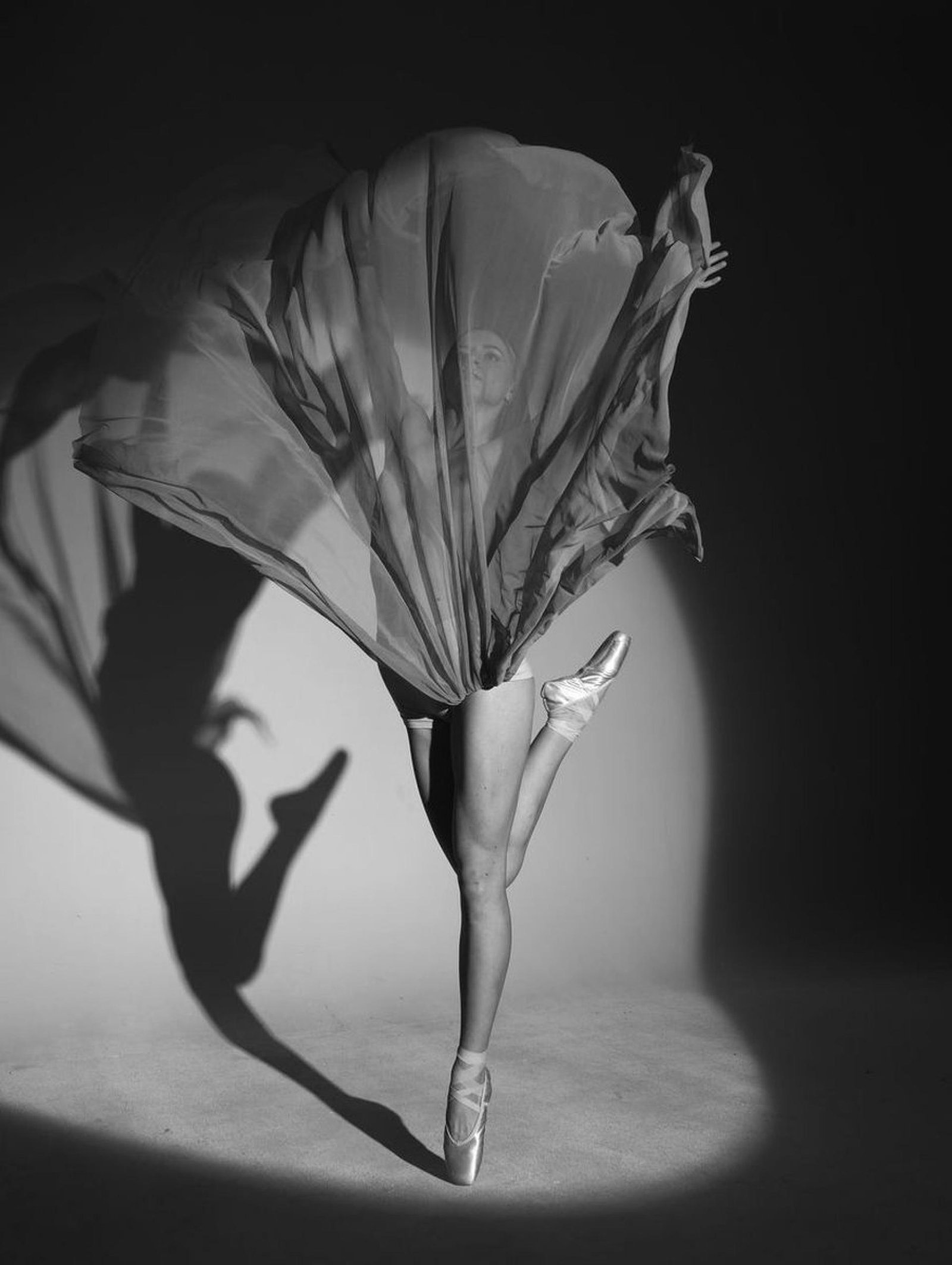 European Photography Awards Winner - Ballet Flower