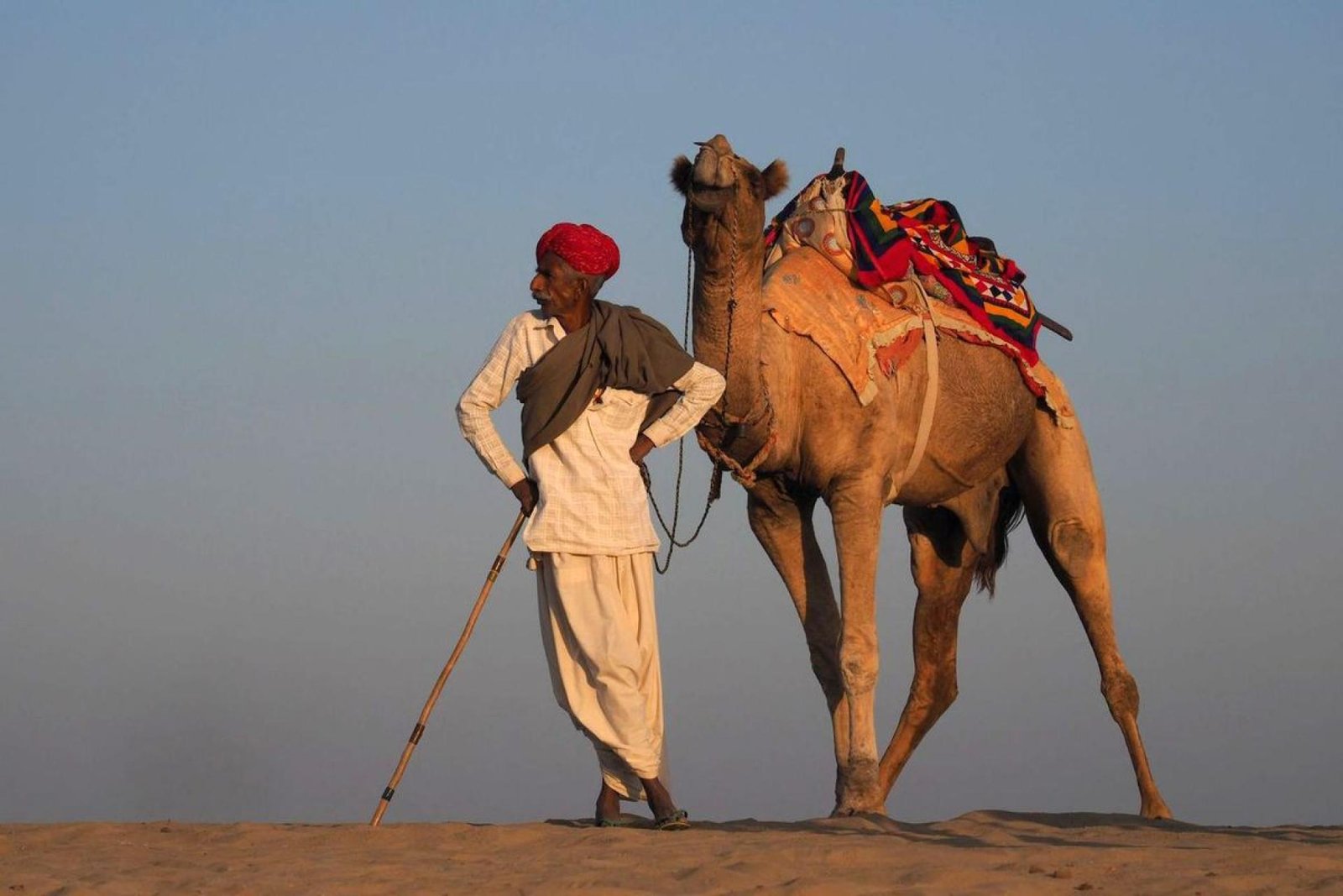European Photography Awards Winner - King of the Desert 