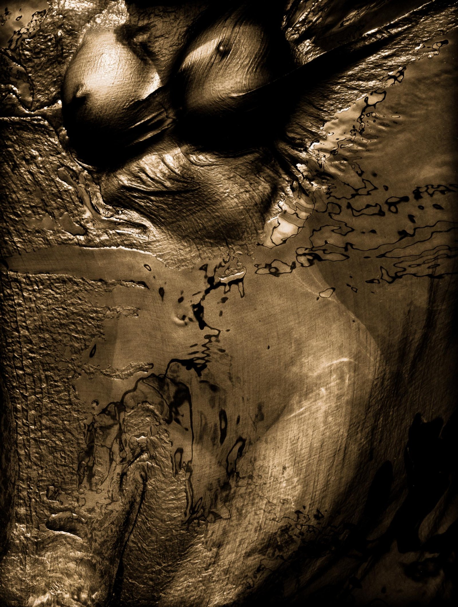 European Photography Awards Winner - Chrysopoeia Distortions