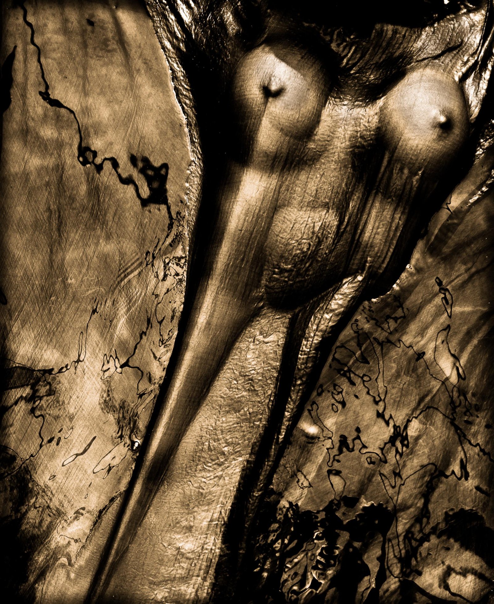 European Photography Awards Winner - Chrysopoeia Distortions
