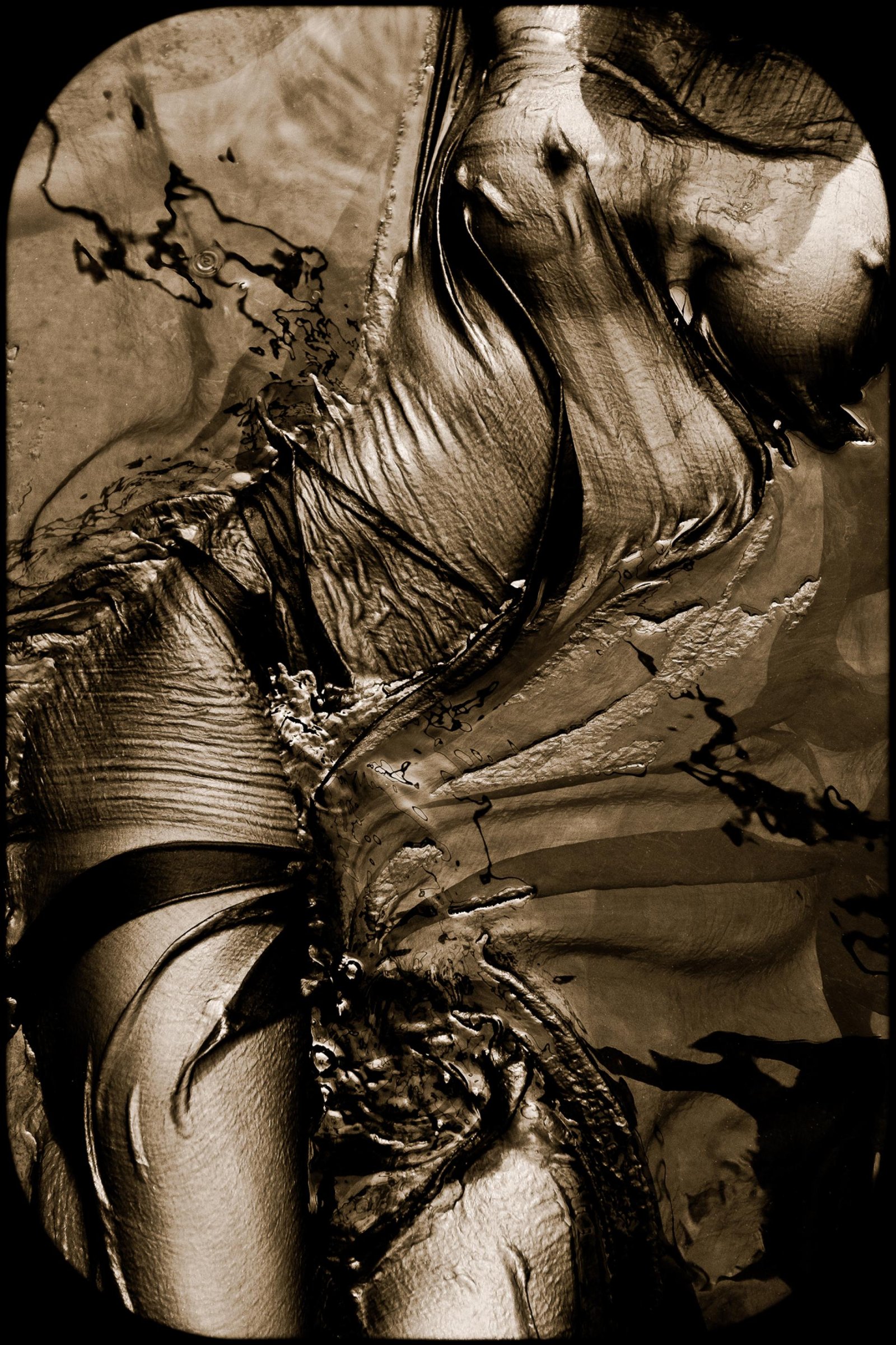 European Photography Awards Winner - Chrysopoeia Distortions