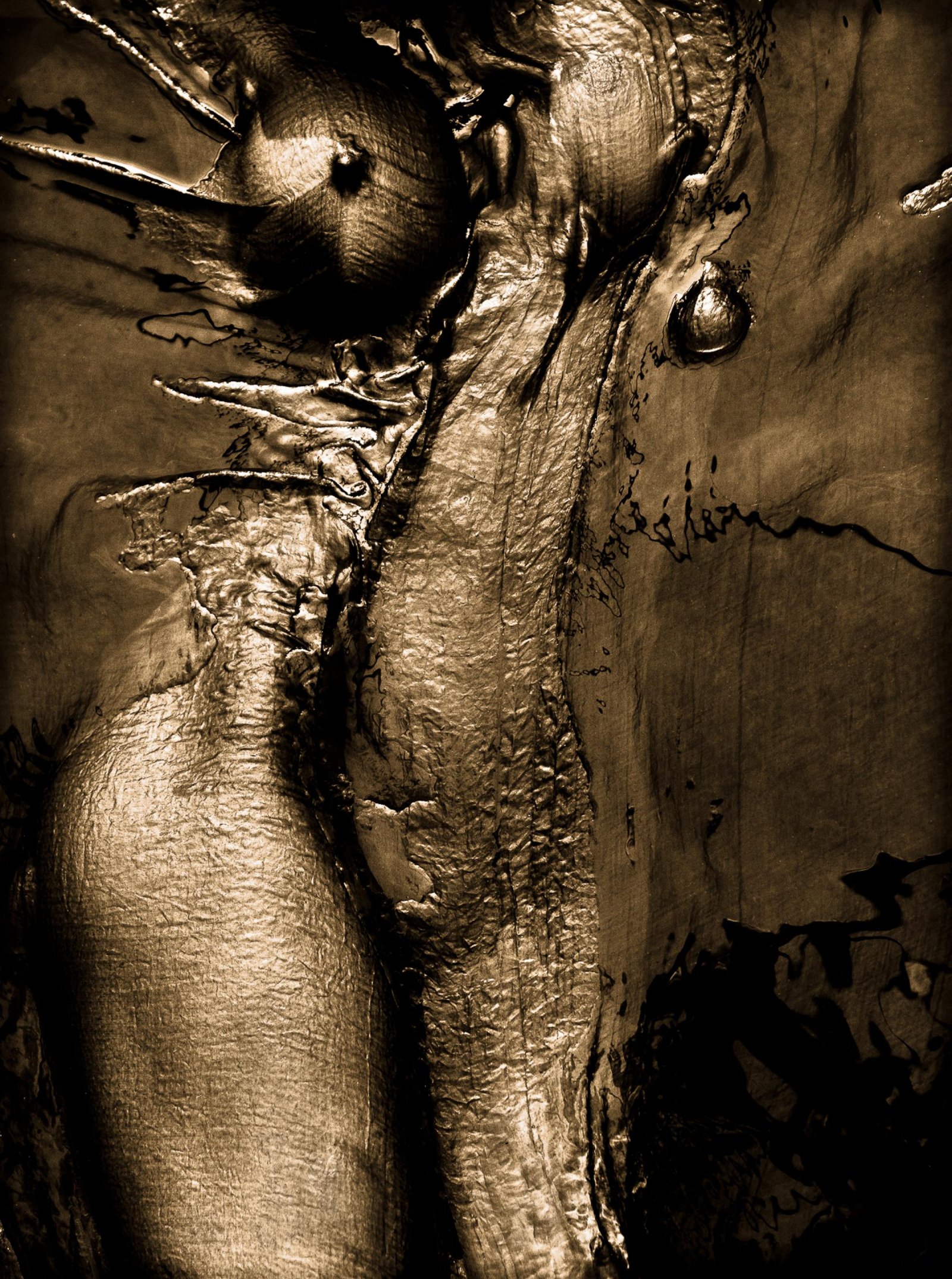 European Photography Awards Winner - Chrysopoeia Distortions