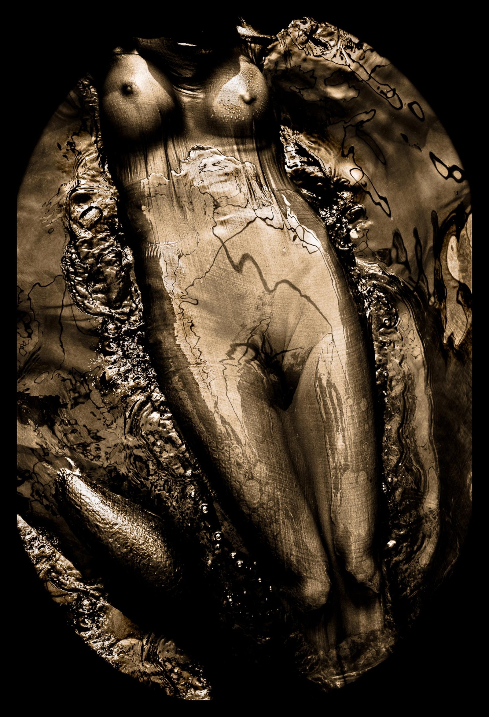European Photography Awards Winner - Chrysopoeia Distortions