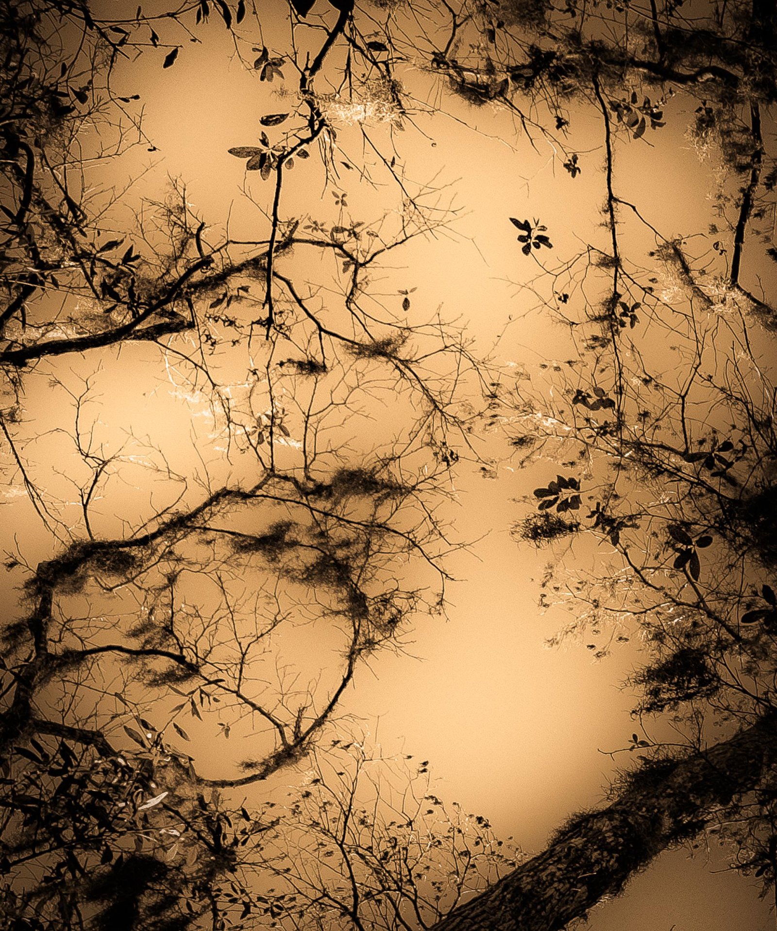 European Photography Awards Winner - Terra Incognita: The Eastern Dawn