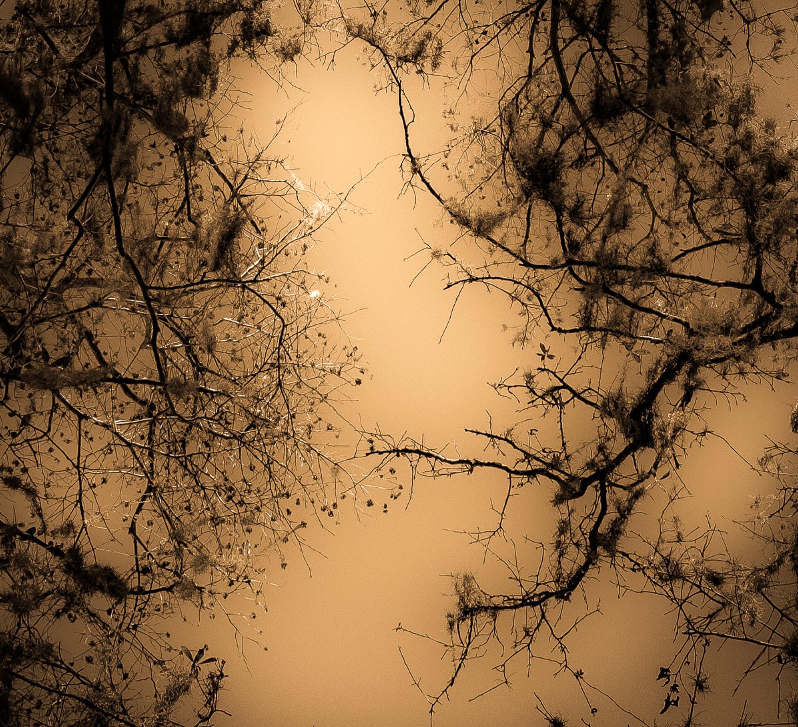 European Photography Awards Winner - Terra Incognita: The Eastern Dawn