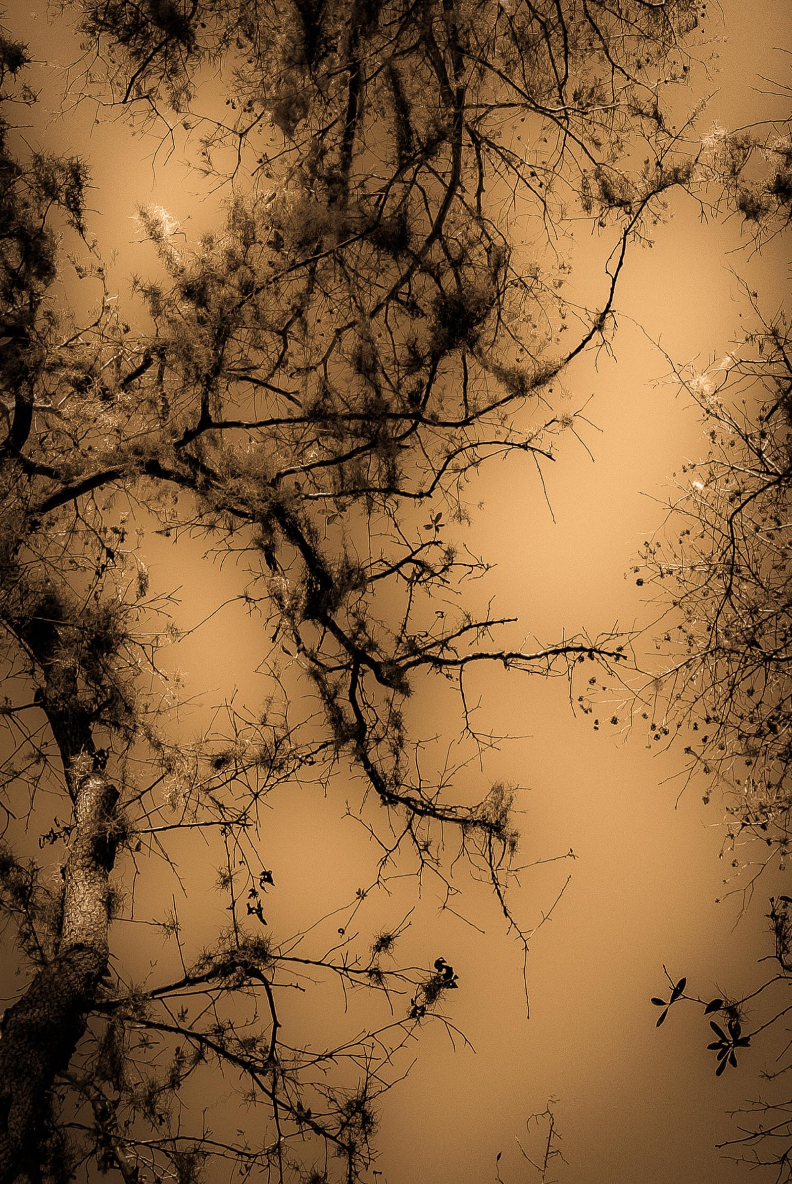 European Photography Awards Winner - Terra Incognita: The Eastern Dawn