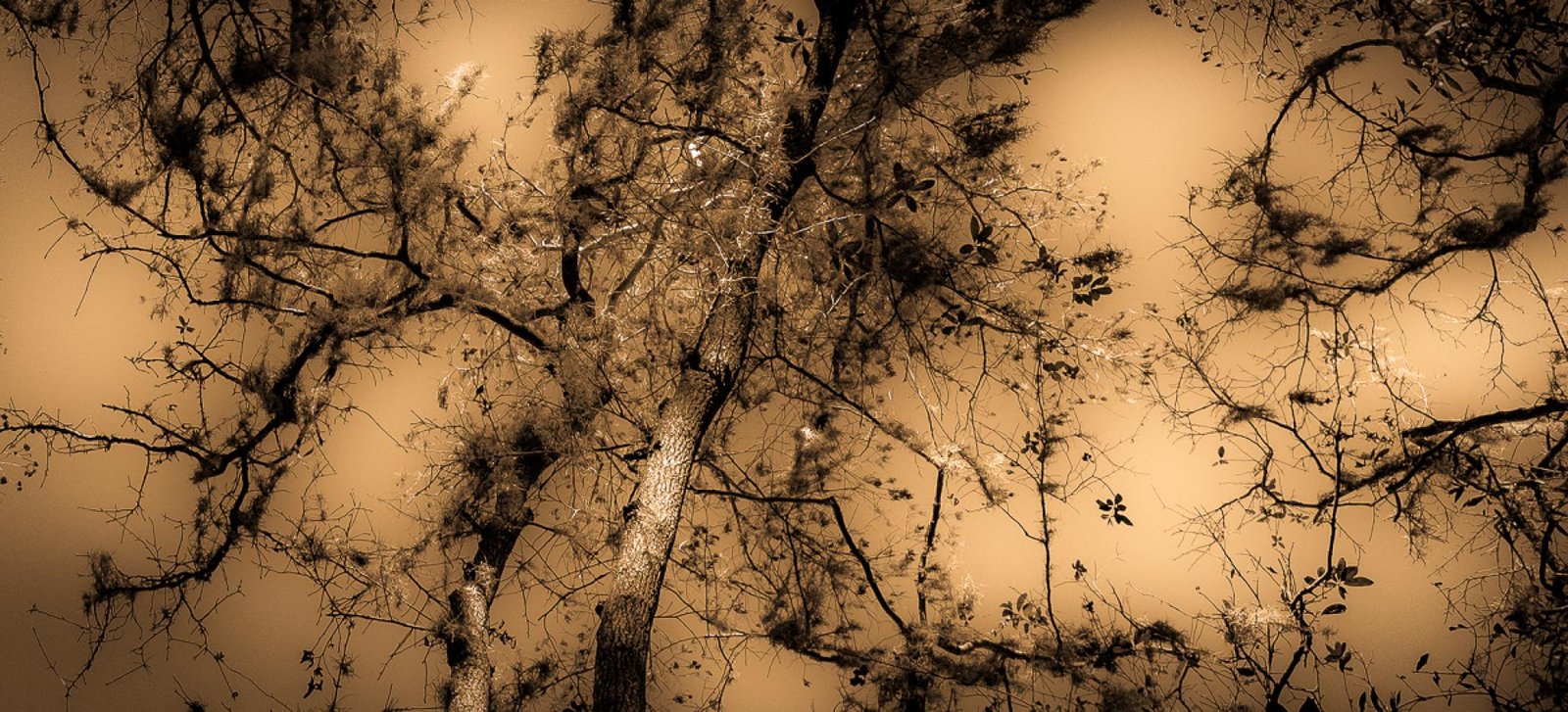 European Photography Awards Winner - Terra Incognita: The Eastern Dawn