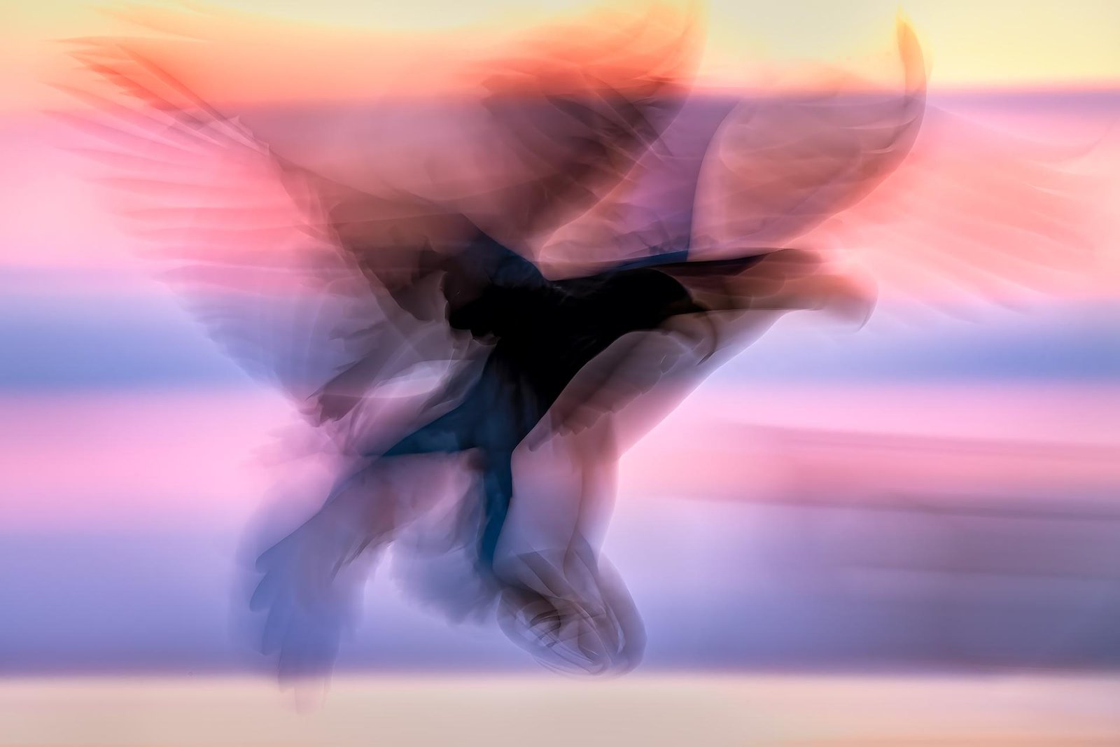 European Photography Awards Winner - Drift of Dawn