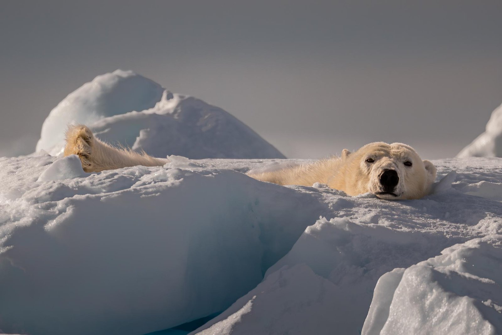 European Photography Awards Winner - At Peace