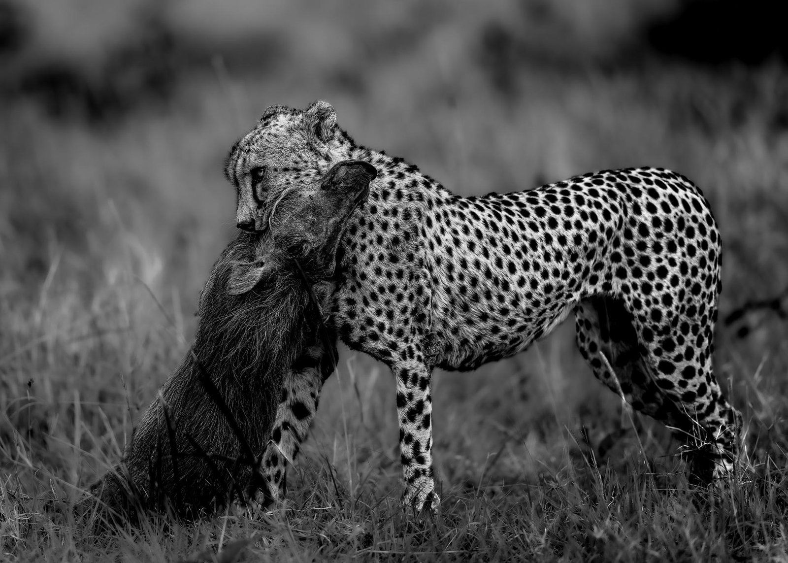 European Photography Awards Winner - The Weight of Survival