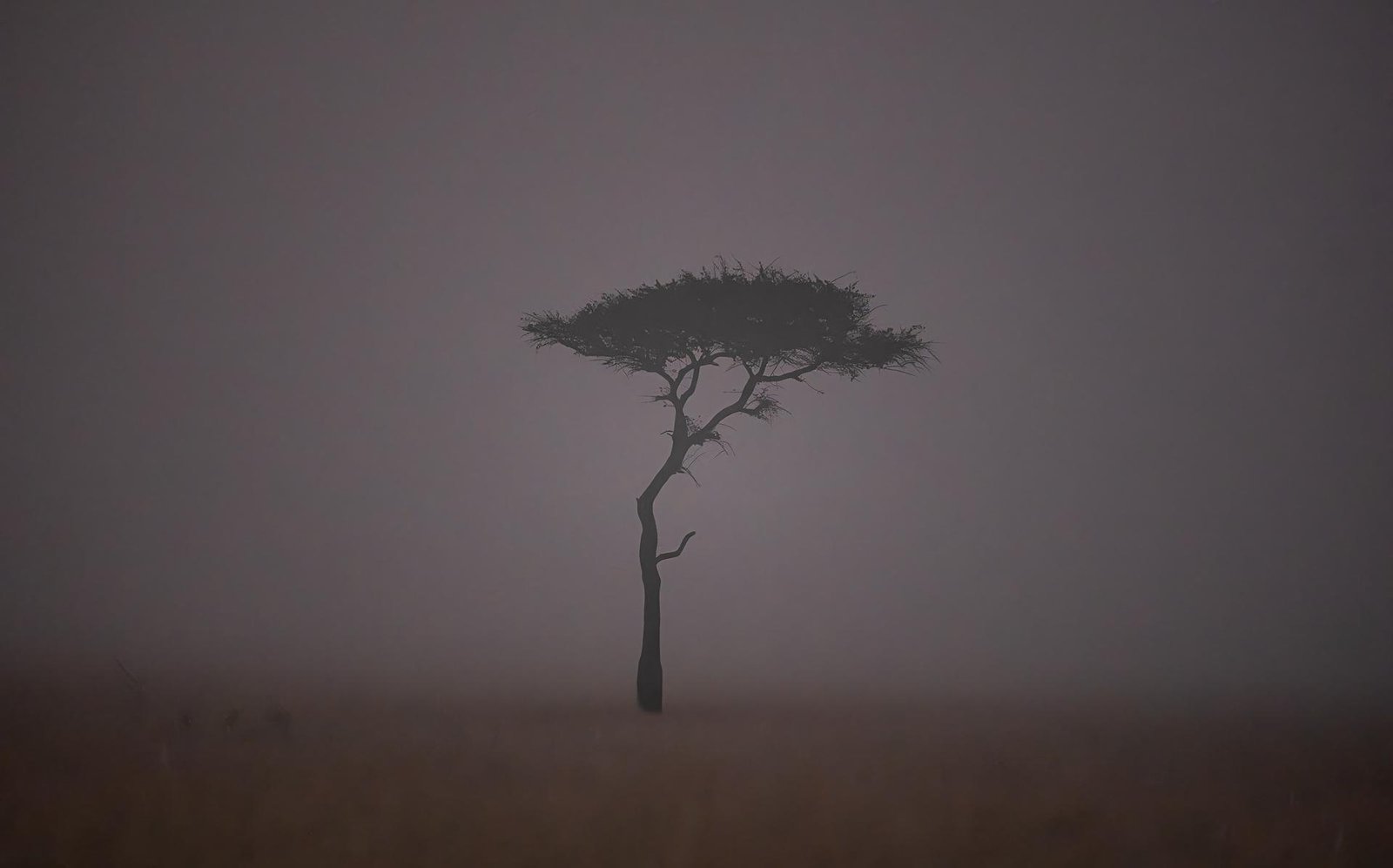 European Photography Awards Winner - Solitude