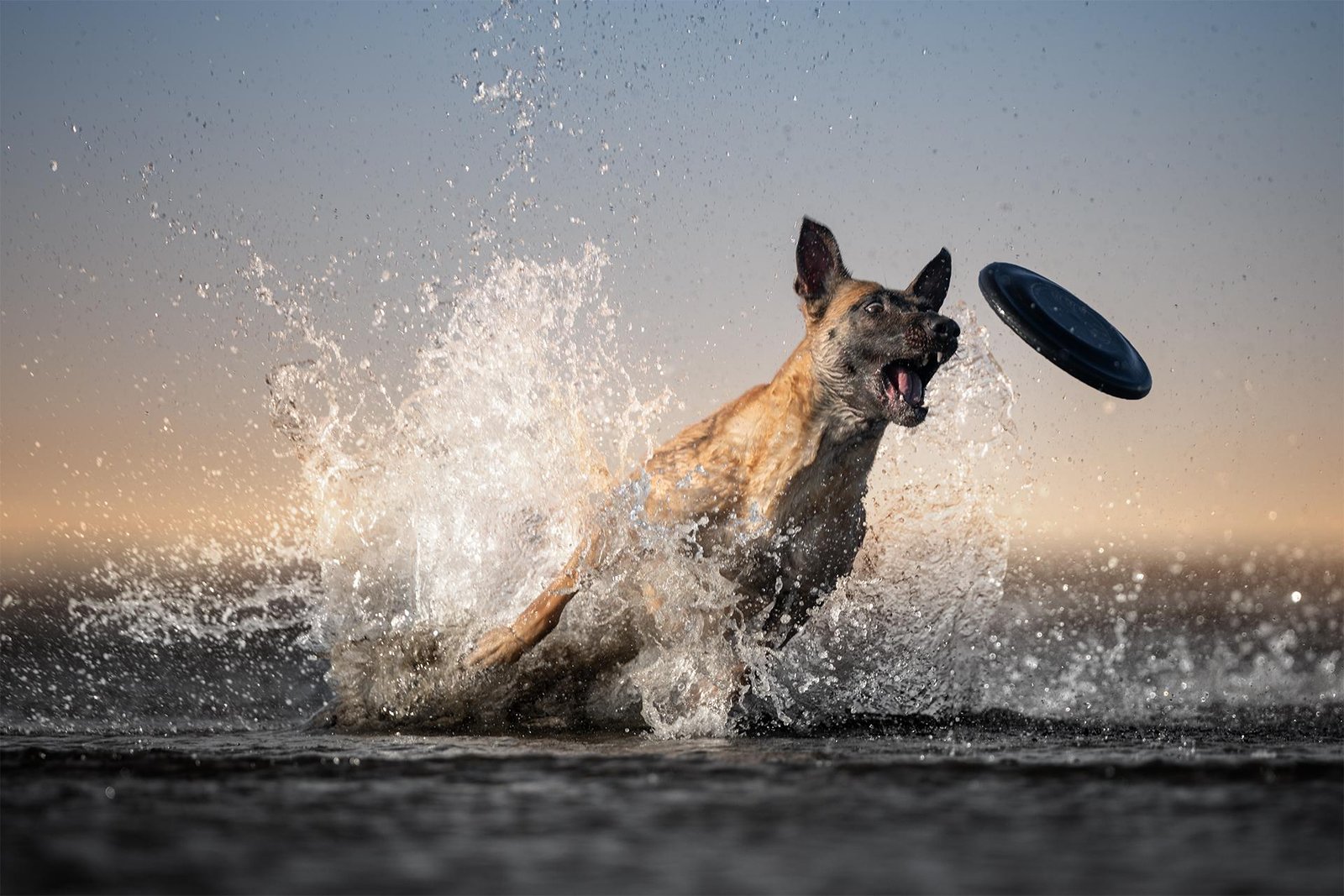 European Photography Awards Winner - Target Locked