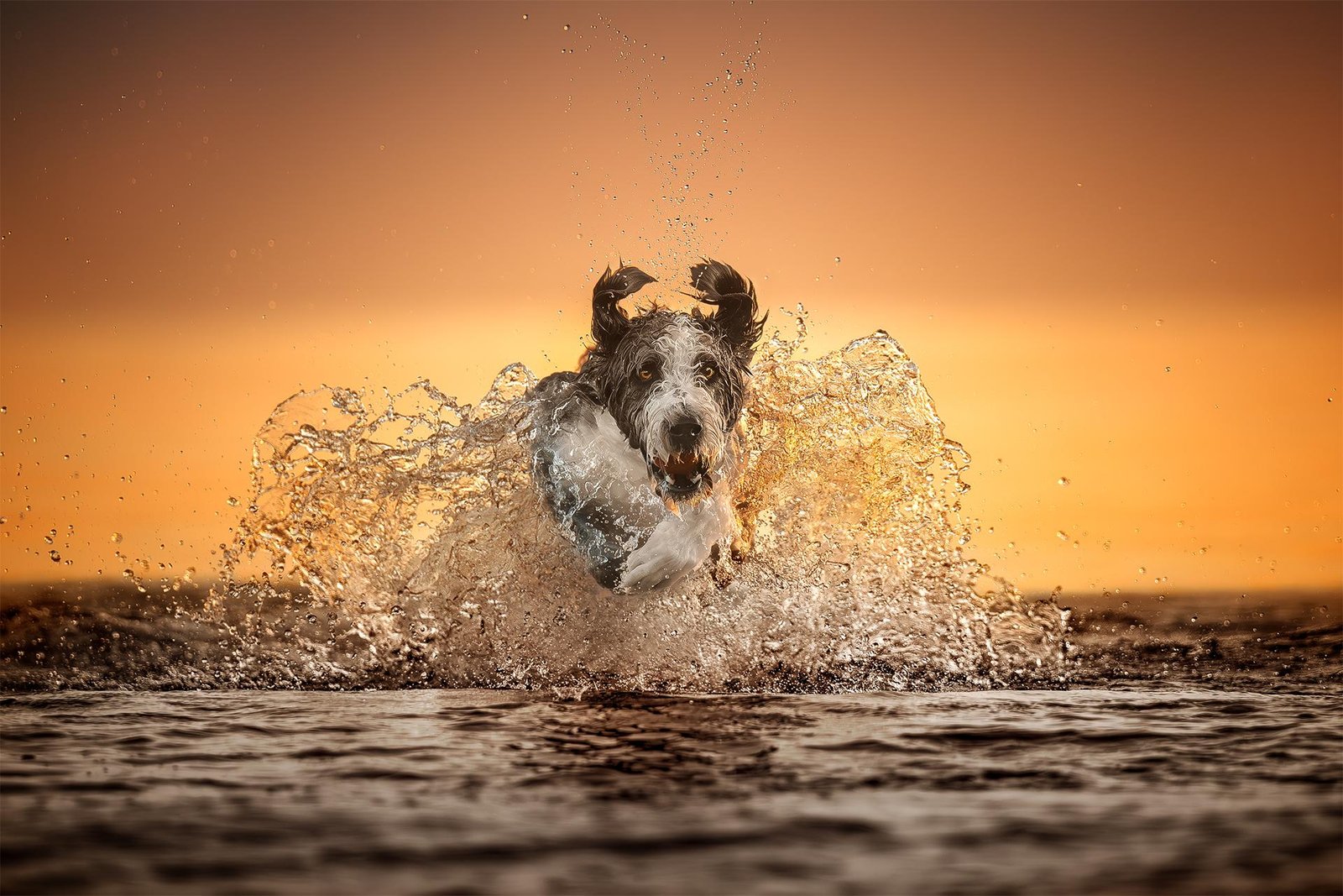 European Photography Awards Winner - Sunrise Splash
