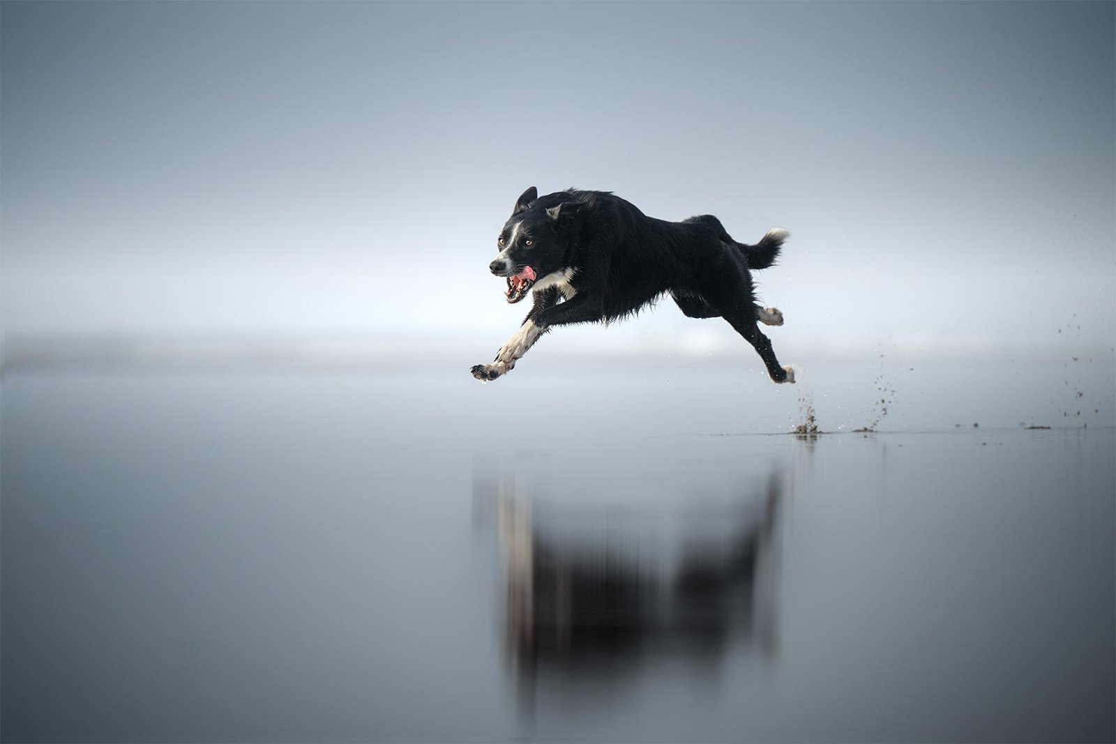 European Photography Awards Winner - Mirror In Motion