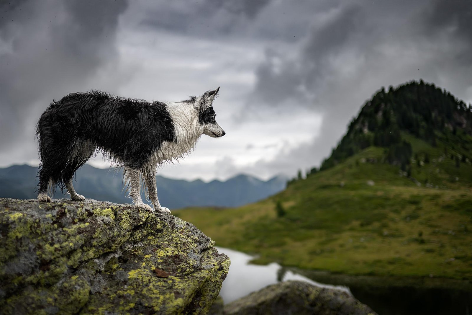 European Photography Awards Winner - Edge of Unknown