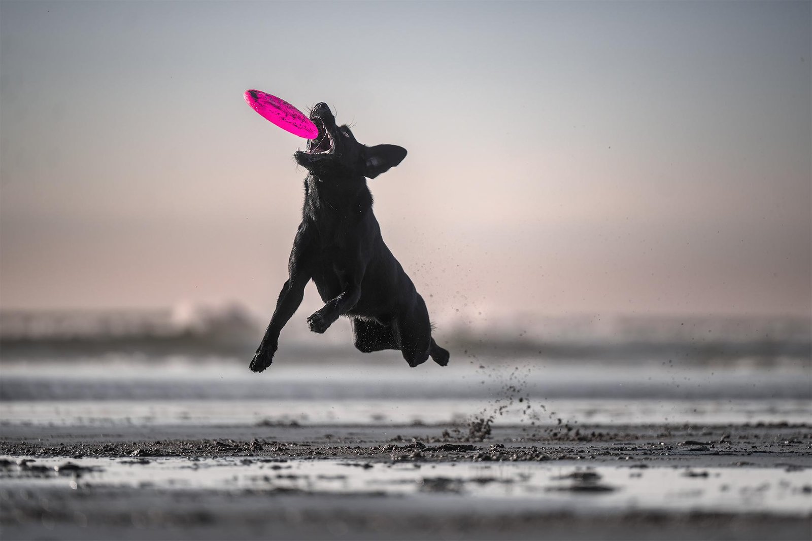 European Photography Awards Winner - Lifted by Joy