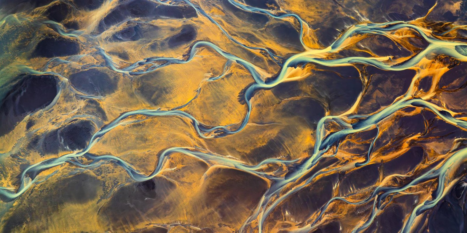 European Photography Awards Winner - Liquid Gold 0516
