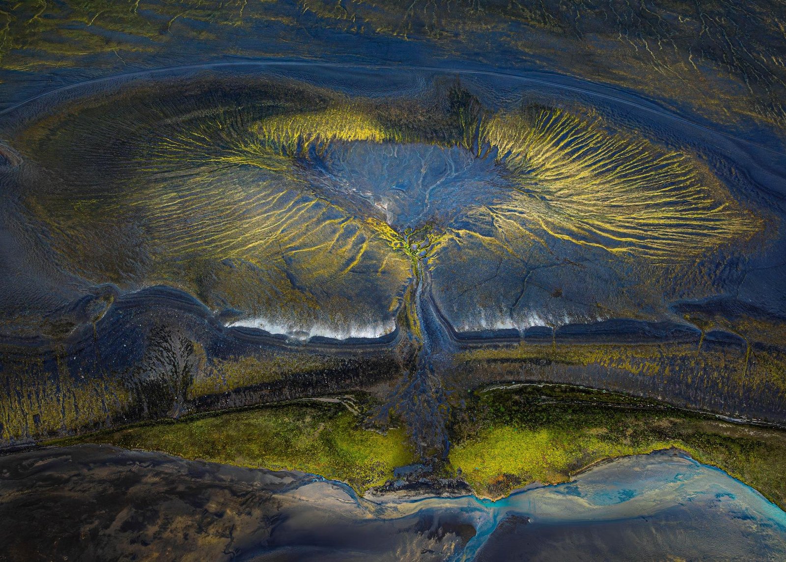 European Photography Awards Winner - Tree of Life 0212
