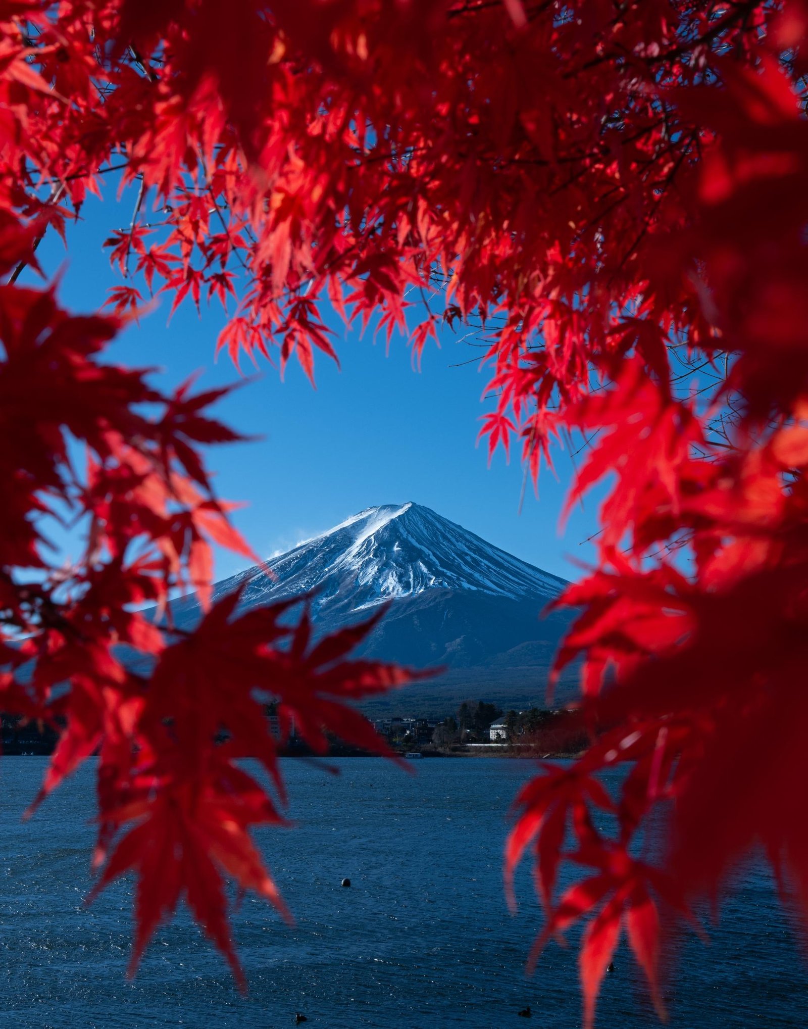 European Photography Awards Winner - Mount Fuji Framed in Red