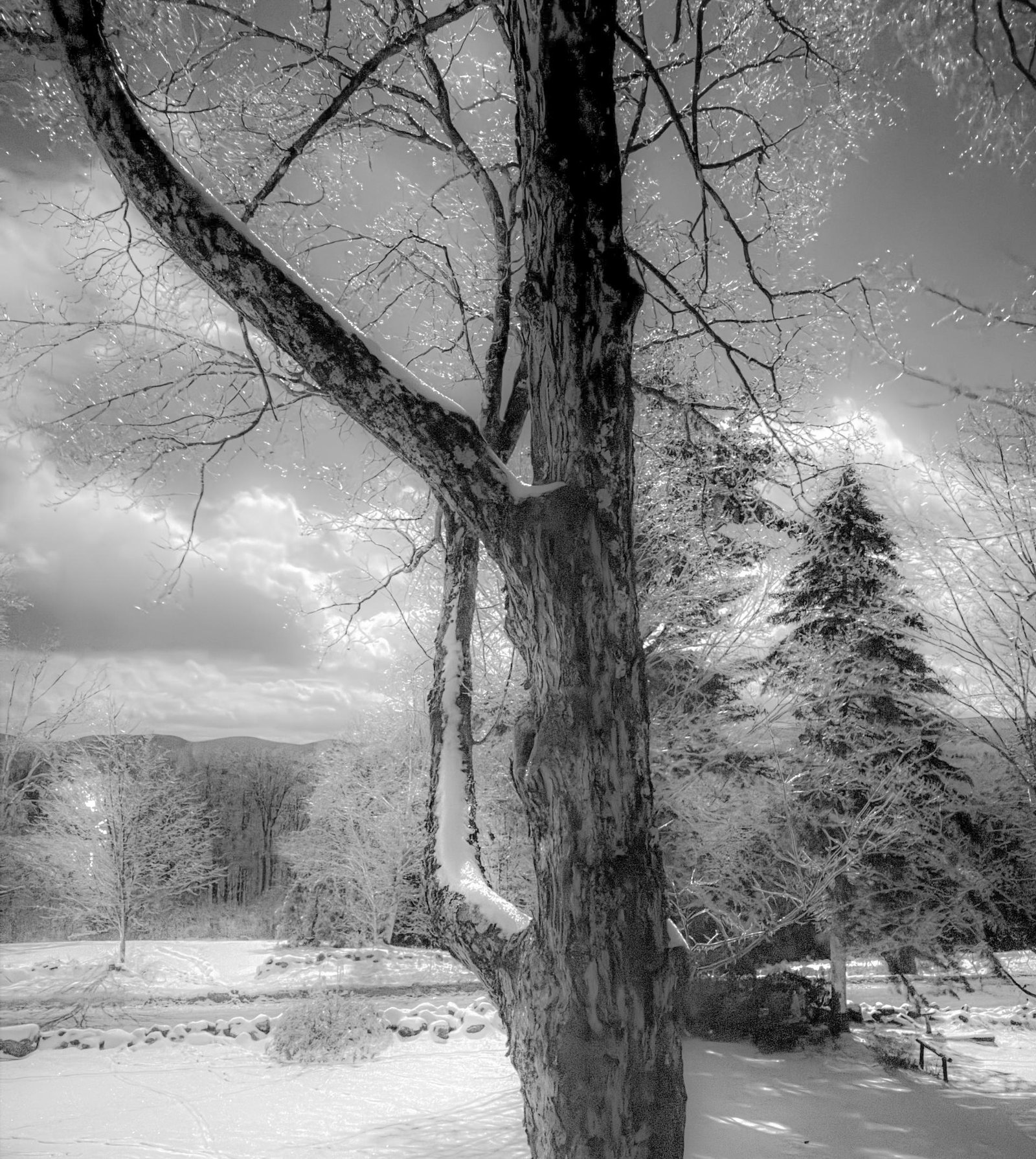 European Photography Awards Winner - Illusions