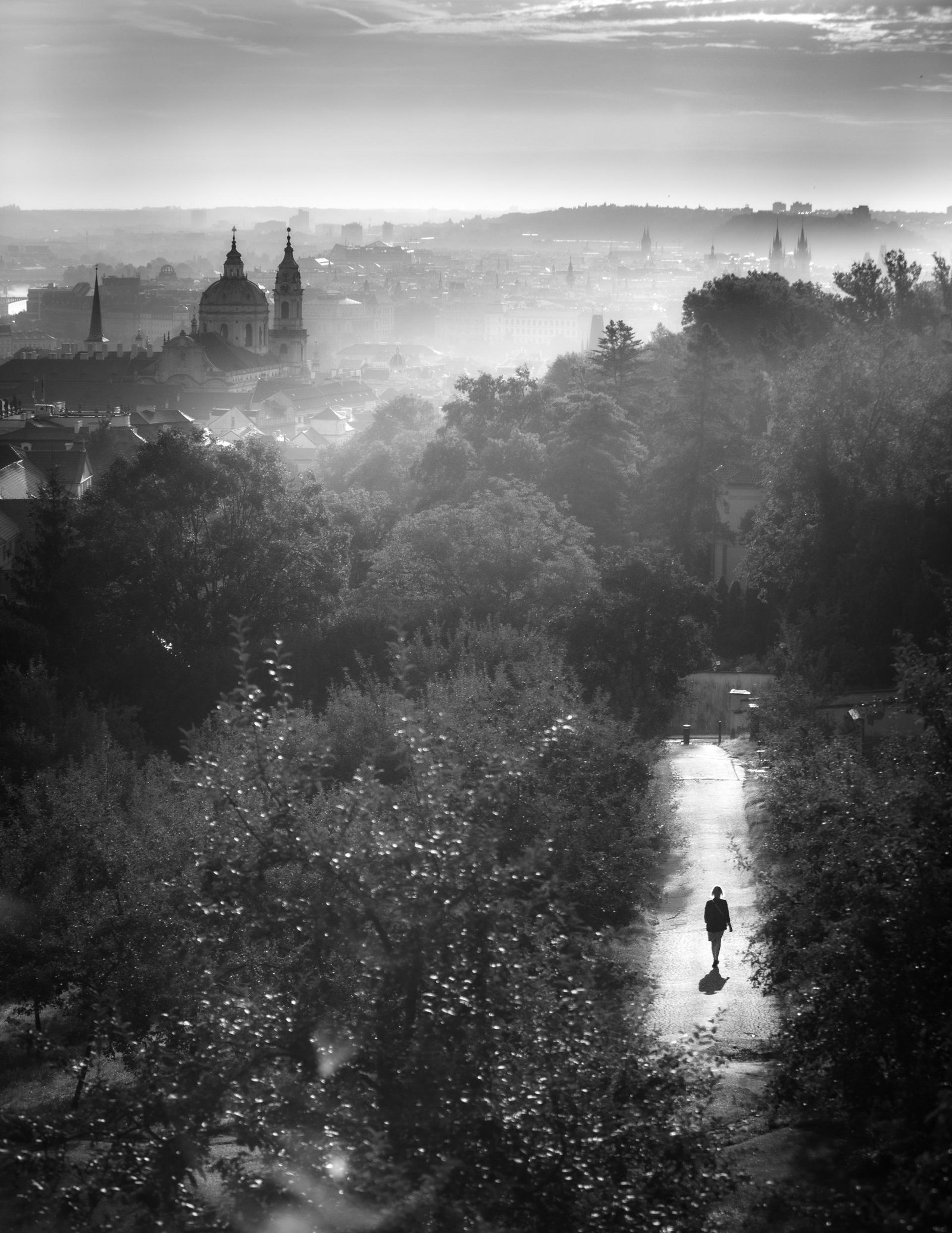 European Photography Awards Winner - A Walk Through Dreams (꿈속의 산책)